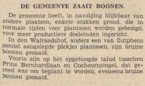 Gemeente zaait bonen