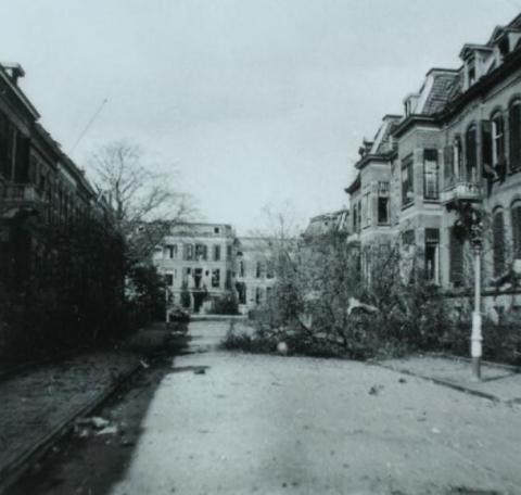 De Rozenhoflaan 
