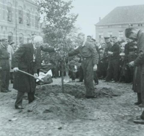 Burgemeester CC de Jonge bij het herbeplanten van de Wilhelminaboom op het 's Gravenhof. De boom wordt vastgehouden door Dik Scholten. (E)