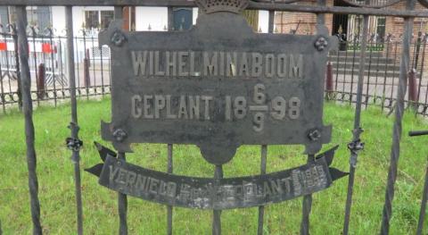 Het plakaat op het hek rond de Wilhelminaboom