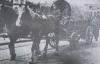 Steeds vaker vanwege benzineschaarste met paard en wagen