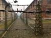 De Shoah